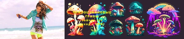 PSILOCYBIN Баксан